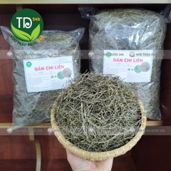 Bán chi liên, hỗ trợ giải độc, tiêu viêm, đánh bay khối u, tốt cho người bị viêm gan, xơ gan cổ trướng