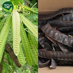 Trái Bồ Kết Rừng Khô Nghệ An, sản phẩm hoàn toàn mới 2022