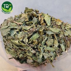 Xạ đen Hoà Bình cả thân và lá, bảo vệ lá gan, ngừa xơ gan, tiểu đường, mỡ nhiễm máu, ổn định huyết áp