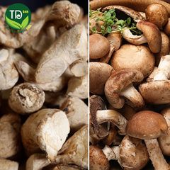 Chân nấm hương Khô (Chân nấm đông cô) Loại 1, dùng làm chà bông chay