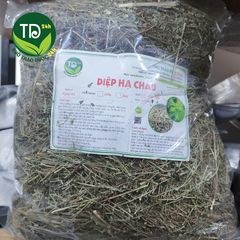 Diệp hạ châu (cây chó đẻ), đánh bay sỏi thận, tiểu đường, tiết niệu, hỗ trợ hạ men gan và cải thiện sức khỏe gan