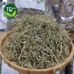 Diệp hạ châu (cây chó đẻ), đánh bay sỏi thận, tiểu đường, tiết niệu, hỗ trợ hạ men gan và cải thiện sức khỏe gan