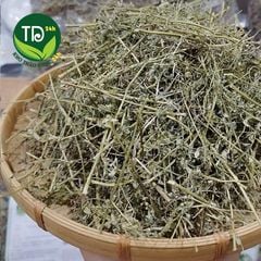 Diệp hạ châu (cây chó đẻ), đánh bay sỏi thận, tiểu đường, tiết niệu, hỗ trợ hạ men gan và cải thiện sức khỏe gan