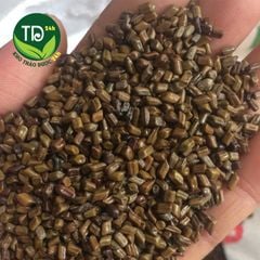 Hạt Muồng (Thảo Quyết Minh) hàng loại 1, pha trà, ngủ ngon, làm sáng mắt, thanh nhiệt, an thần, ổn định huyết áp