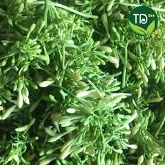 Hoa đu đủ đực tươi 100% (có mỗi ngày), ngừa ung thư, kích thích tiêu hóa, tốt cho hô hấp, ngừa ho, ổn định đường huyết