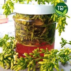 Hoa đu đủ đực tươi 100% (có mỗi ngày), ngừa ung thư, kích thích tiêu hóa, tốt cho hô hấp, ngừa ho, ổn định đường huyết