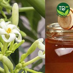 Hoa đu đủ đực tươi 100% (có mỗi ngày), ngừa ung thư, kích thích tiêu hóa, tốt cho hô hấp, ngừa ho, ổn định đường huyết