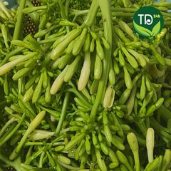 Hoa đu đủ đực tươi 100% (có mỗi ngày), ngừa ung thư, kích thích tiêu hóa, tốt cho hô hấp, ngừa ho, ổn định đường huyết