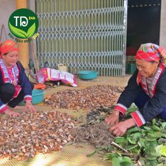Lá tắm thảo dược của người Dao đỏ, phục hồi sức khỏe sau sanh, lấy lại vóc dáng, giảm stress