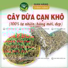 Cây dừa cạn khô, hàng loại 1, hỗ trợ thông tiểu tiện, lợi tiểu, bế kinh nguyệt, huyết áp cao, đặc biệt rất tốt cho một số bệnh ung thư