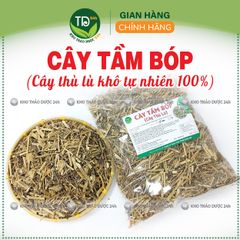 Cây tầm bóp, thù lù khô, hỗ trợ làm mát gan, giải độc, lợi tiểu, ổn định huyết áp, đường huyết, giảm mỡ máu, ngừa ung thư