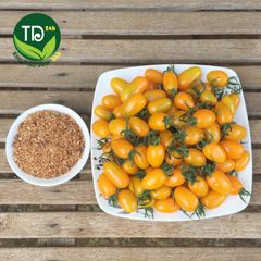 Muối ô mai (xí muội) Đà Lạt, dùng ăn kèm với các món trái cây chua như cóc, xoài, ổi, đặc biệt là làm dâu tây lắc