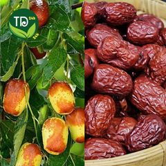Táo đỏ Tân Cương chín sấy khô, nguyên liệu nấu chè, chưng yến, hầm canh, pha trà, loại 1, ngủ ngon, tốt cho tim mạch