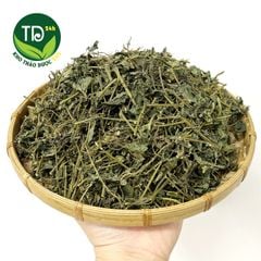 Trà giảo cổ lam 7 lá SaPa, giảm cholesterol trong máu, lưu thông máu não, ngừa tai biến, đột quỵ