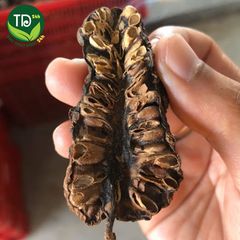 Trái Nhàu Khô giúp tiêu hóa dễ dàng, lợi tiểu, nhuận trường, ổn định huyết áp, tăng cường miễn dịch