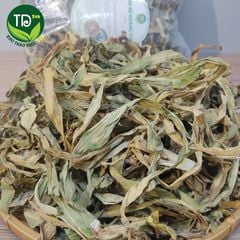 Trinh Nữ Hoàng Cung, thảo dược quý hỗ trợ rất tốt cho chứng đau khớp, chấn thương, tụ máu