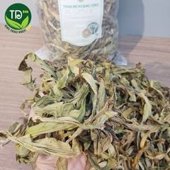 Trinh Nữ Hoàng Cung, thảo dược quý hỗ trợ rất tốt cho chứng đau khớp, chấn thương, tụ máu
