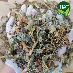 Trà bồ công anh thanh nhiệt, hỗ trợ giải độc, làm sạch cơ thể, làm mát sữa, chống tắc tia sữa