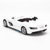 Mô hình xe Mercedes-Benz SLR Stirling Moss 1:32 TYmodels White (2)