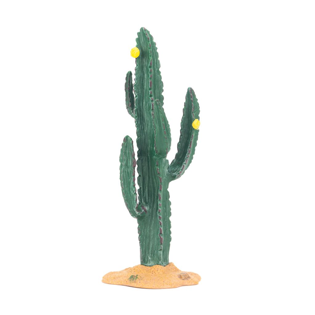 Mô hình cây xương rồng