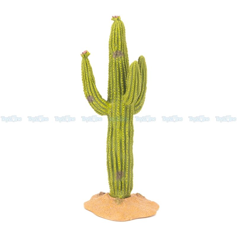 Mô hình cây xương rồng