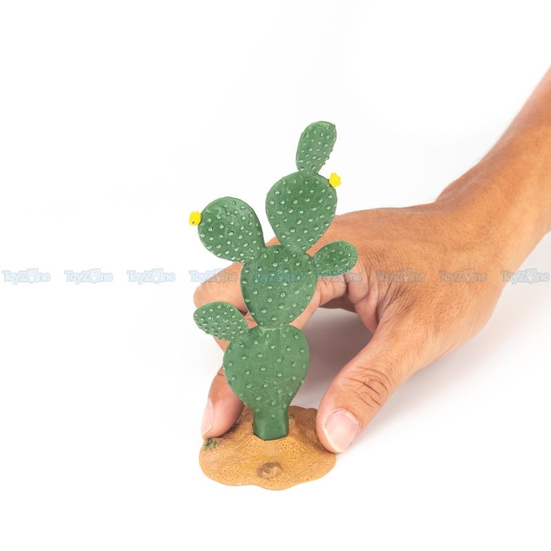 Mô hình cây xương rồng