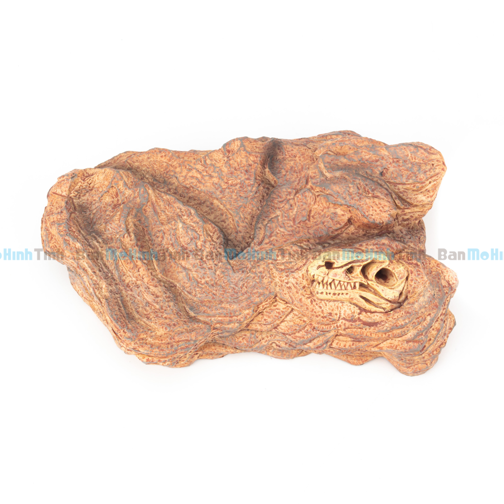 Mô hình Đất Nền Diorama Trưng Bày Khủng Long