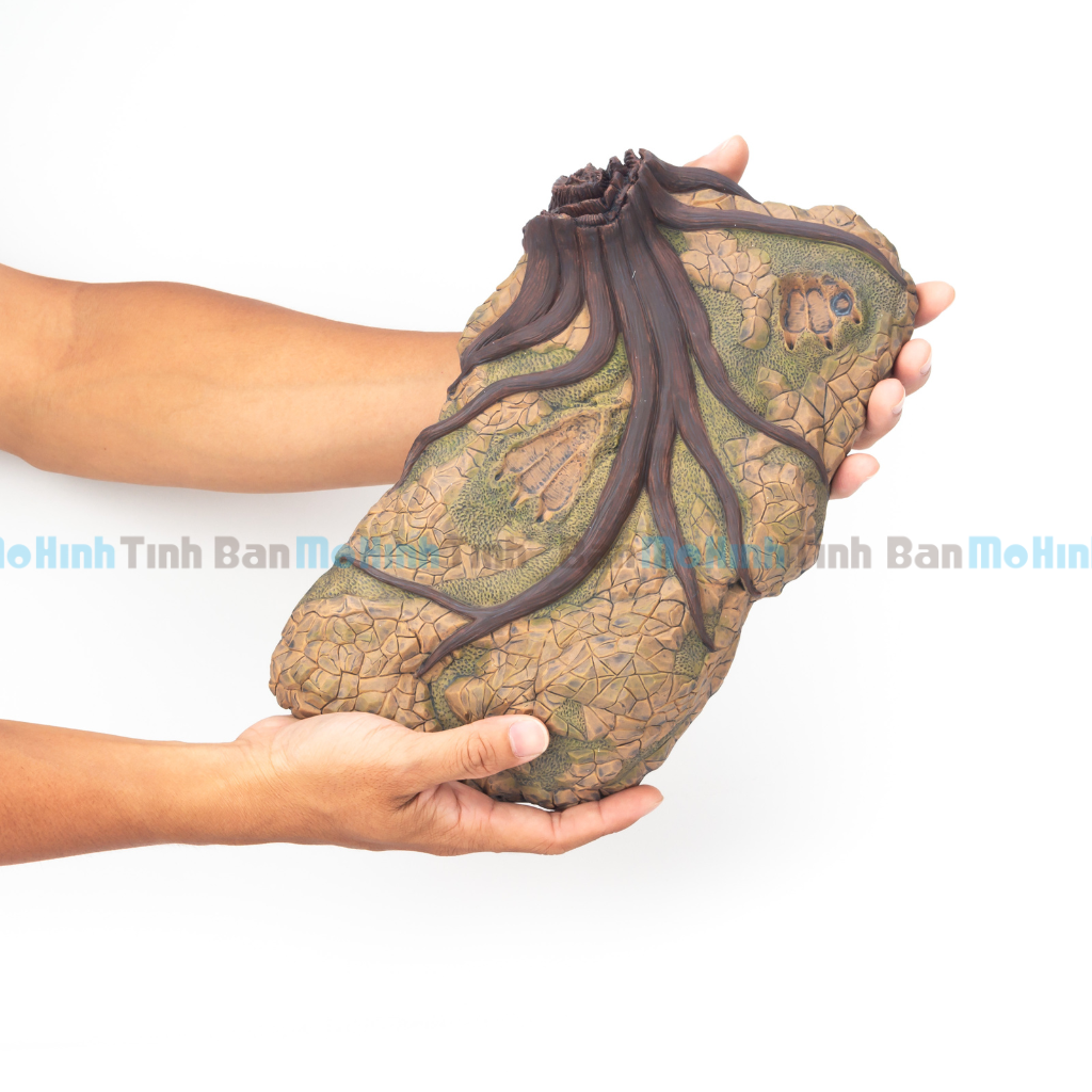 Mô hình Đất Nền Diorama Trưng Bày Khủng Long