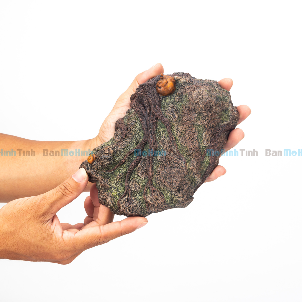 Mô hình Đất Nền Diorama Trưng Bày Khủng Long