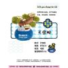 Mô hình đồ chơi Blind box Shake Money Tree ( Lắc Cây Đồng Tiền ) POP SUNDAY