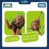 Mô hình đồ chơi Động Vật Sư Tử ANIA AL-25 Lion TAKARA TOMY