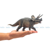 Mô hình Khủng Long 3 Sừng Triceratops ( Tam giác long ) - T5008 - TNG