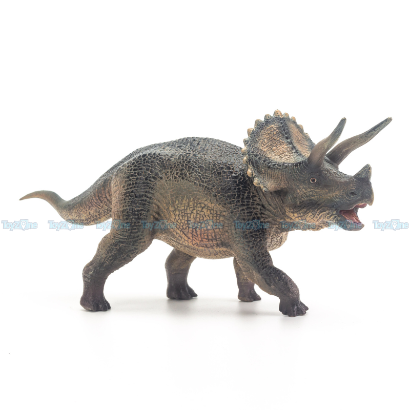 Mô hình Khủng Long 3 Sừng Triceratops ( Tam giác long ) - T5008 - TNG