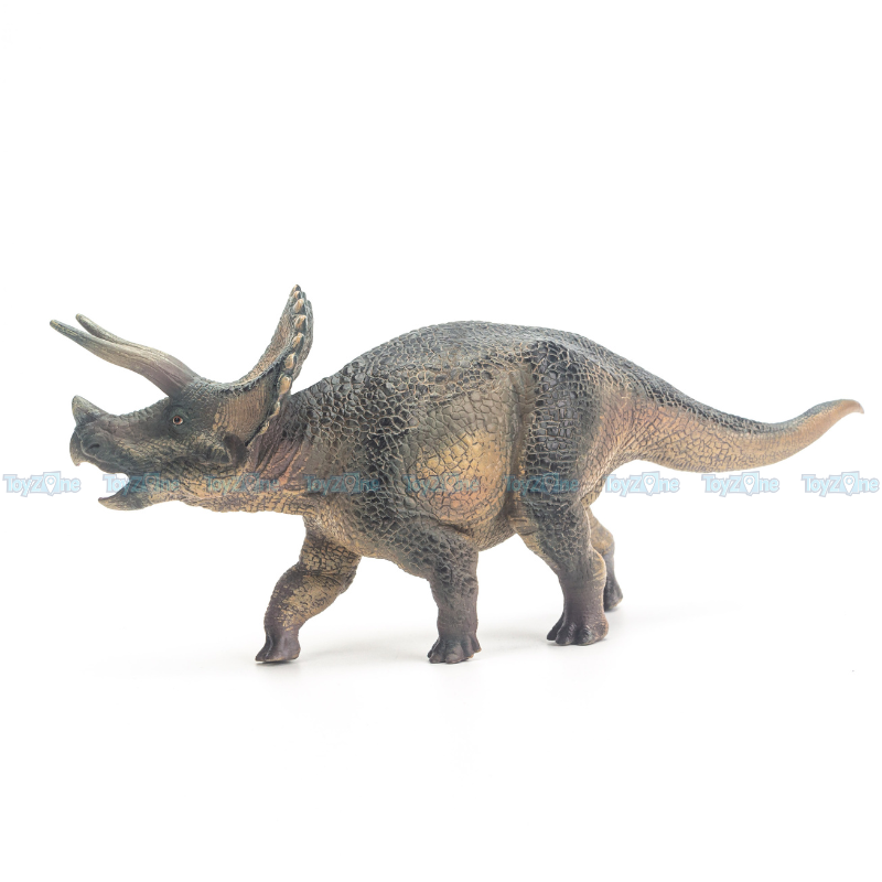 Mô hình Khủng Long 3 Sừng Triceratops ( Tam giác long ) - T5008 - TNG
