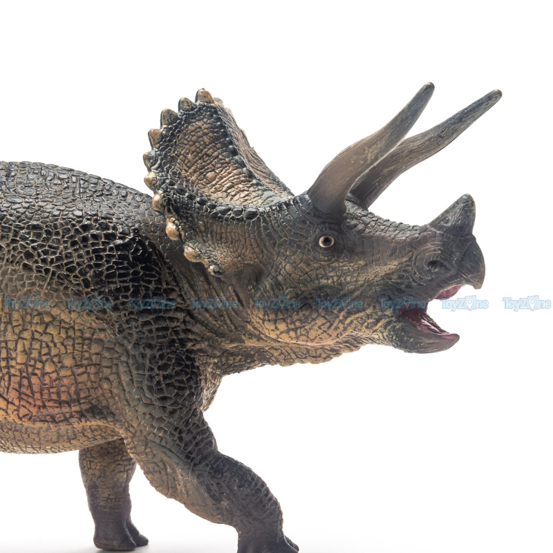 Mô hình Khủng Long 3 Sừng Triceratops ( Tam giác long ) - T5008 - TNG