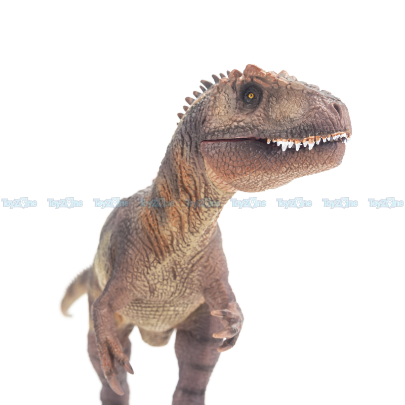Mô hình Khủng Long Giganotosaurus ( Gã khổng lồ Phương Nam ) - T5004 - TNG