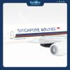 Mô hình máy bay Singapore Airlines 16cm Everfly