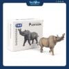 Mô hình Tê Giác Cổ Đại Brontotherium 1:35 TNG