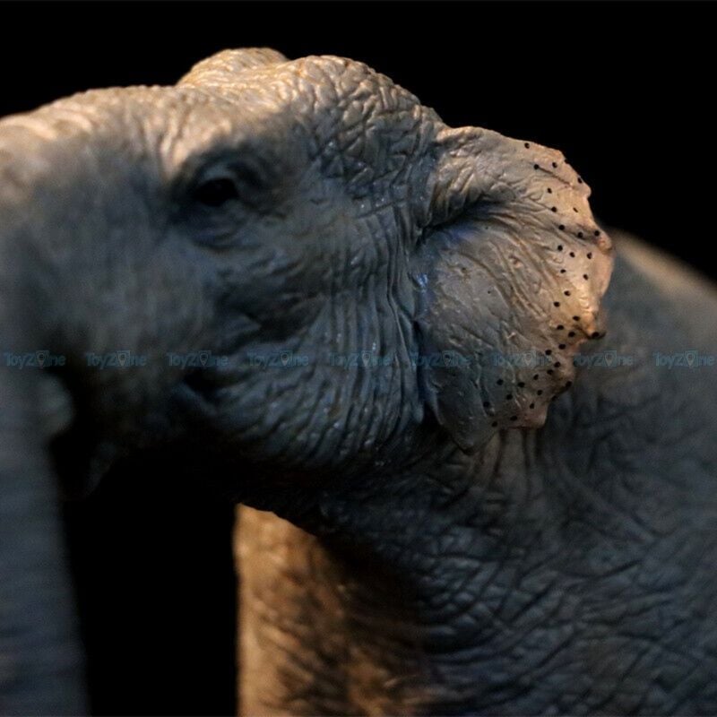 Mô hình Voi Cổ Đại Yellow River Stegodon 1:35 TNG