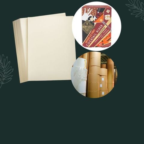  Cung cấp giấy Ivory 