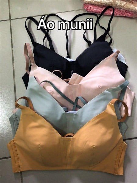 Áo Munii su Freedom