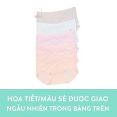 Quần lót nữ chất thun cạp bụng chéo phối viền ren Q23220