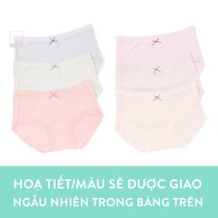 Quần lót thun viền ren đính nơ dễ thương Q61050