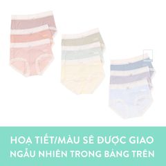 Quần lót thun viền ren đính nơ màu trơn BOM SISTER Q635