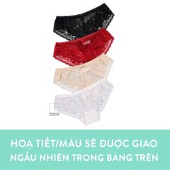 Quần lót nữ ren hoa gợi cảm màu trơn lưng thấp Q80011