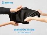  Đai hỗ trợ thắt lưng Bonbone Pita Coru Standard bảo vệ thắt lưng - 4 Size 