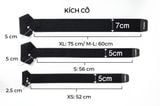  Đai cố định cổ chân Bonbone Free Support AM bảo vệ cổ chân - 4 Size 