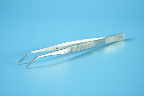  Nhíp nha khoa Everbest nhíp y tế thép không gỉ đầu gắp cong loại VIP - Nhiều size 