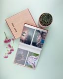  Album Photo LAS - 10x15 - 100 Hình ( Có Hộp ) 