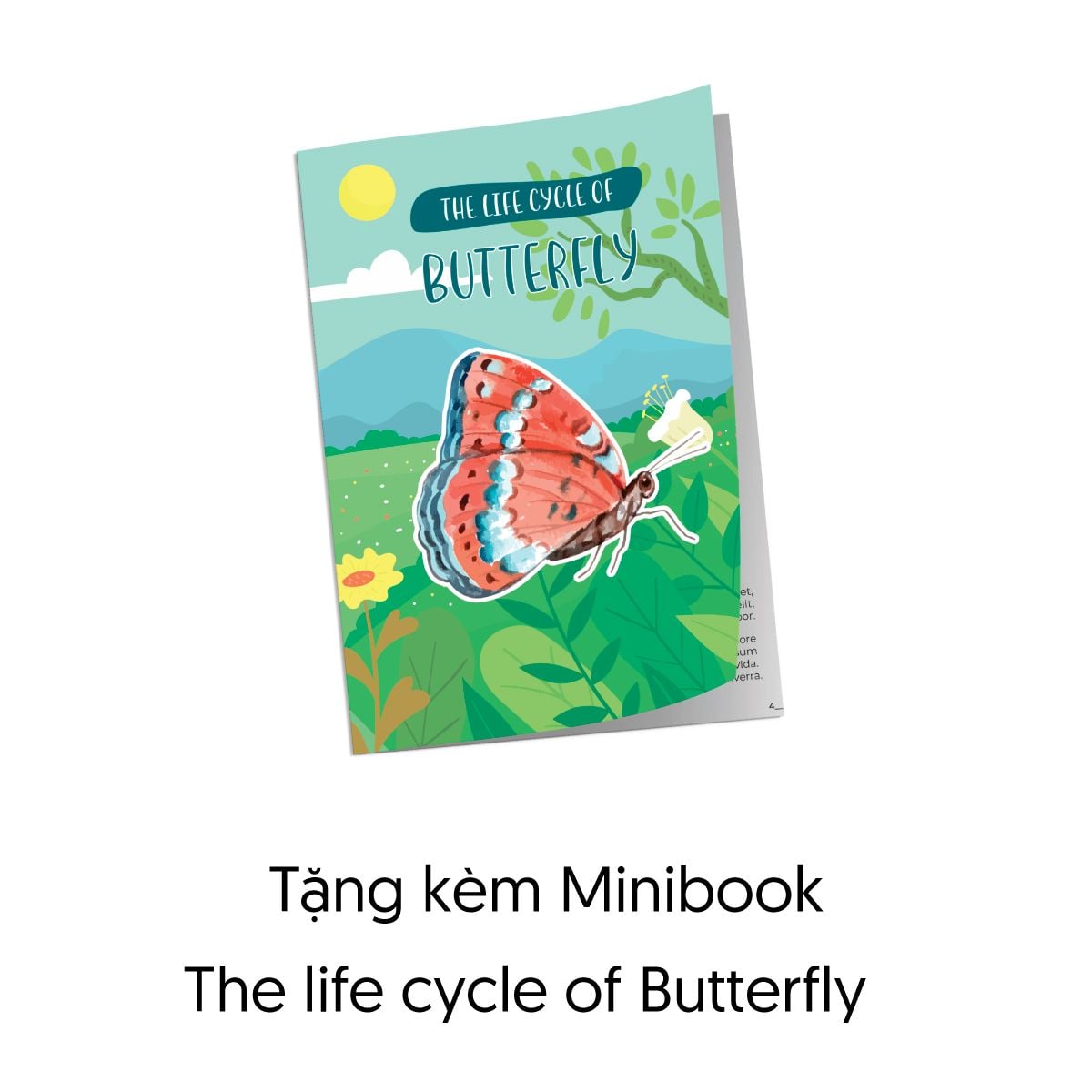  The Cycle Of Life - Vòng Đời Bươm Bướm - 53 Miếng 